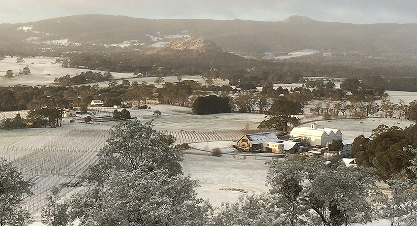 Hanging Rock Vineyard in Winter